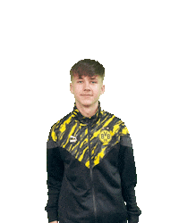 Bvb Sticker by Borussia Dortmund