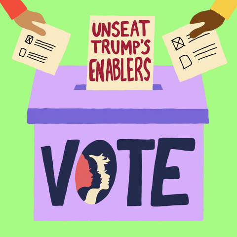 Vote Now Election 2020 GIF by Women’s March