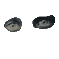 Nuns Sticker by E MERLIN MURRAY