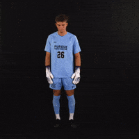 Soccer Dons GIF by Purdue Fort Wayne Athletics