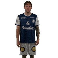 Handball Sticker by DAIKIN HBL