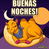 Sleepy Good Night GIF by CamelToe