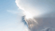 wyoming GIF