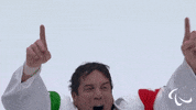Paralympic Games GIF by International Paralympic Committee