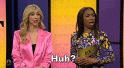 Snl GIF by Saturday Night Live