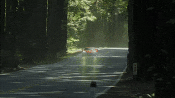 Need For Speed Corvette GIF by jesse_iwuji