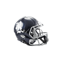 College Football Sticker by Riddell Sports
