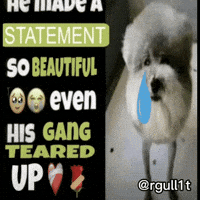 Statement GIF