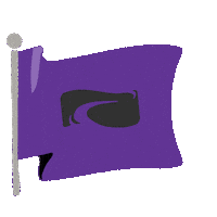 Flag Fuge Sticker by LifeWay Students