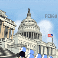 White House Business GIF by Pudgy Penguins