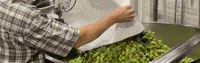 GIF by Odell Brewing Company
