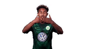 Football Soccer Sticker by VfL Wolfsburg