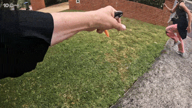 Huntedau GIF by Hunted Australia