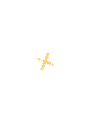 Yellow Star Sticker by Jordan Kay