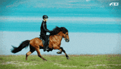 see ya love GIF by FEI Global