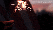 Independence Day Holiday GIF by Amazon Prime Video