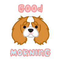 thelittledogpaw dog animal pet cavalierkingcharlesspaniel Sticker