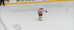 confused brock mcginn GIF by Charlotte Checkers