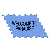 Festival Welcometoparadise Sticker by lapuntafun