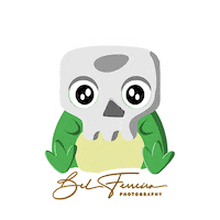 Mask Skull Sticker by Bel Ferreira Photography