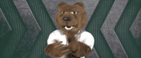 georgia gwinnett grizzlies GIF by Georgia Gwinnett College Athletics