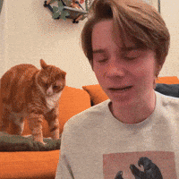 Black And White Yawn GIF