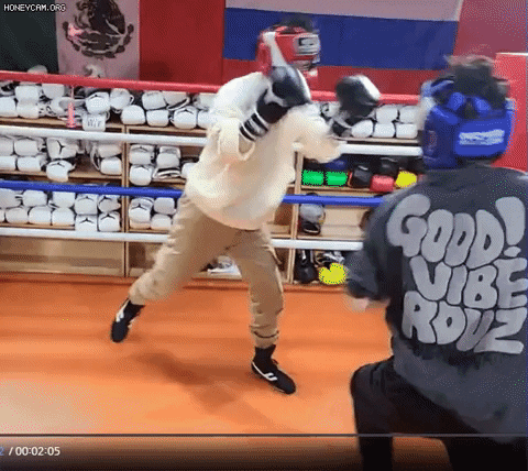 insights___ giphyupload GIF