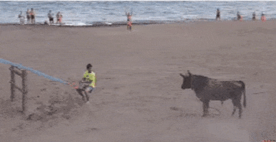 carlosalbertoteixeira  GIF