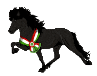 Horse Hungary Sticker by Easyflix TV