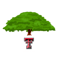 Studyabroad Sticker by Texas Tech Costa Rica University