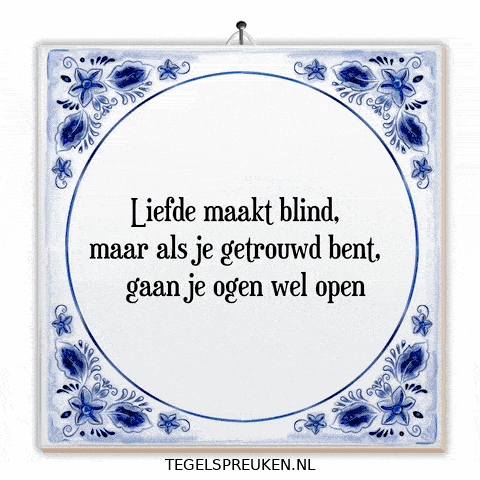 Humor Nl GIF by Tegelspreuken.nl
