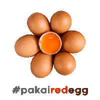 redeggindo redegg redeggindo pakairedegg omega3egg Sticker