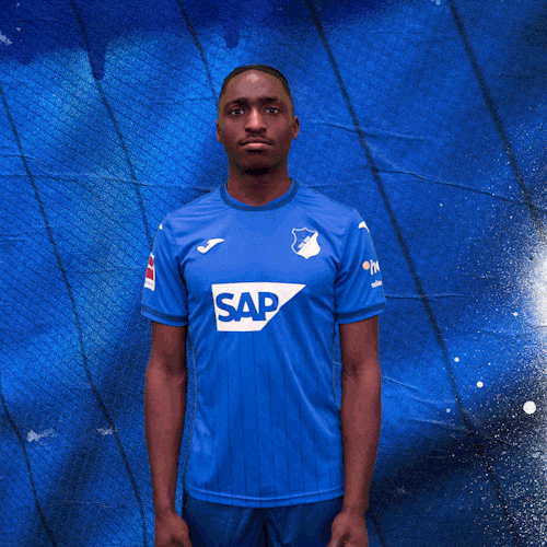 Sport Bundesliga GIF by TSG Hoffenheim