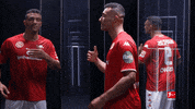 Mainz 05 M05 GIF by Bundesliga