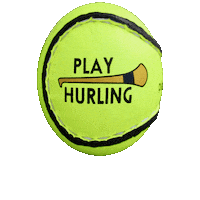 playhurling sport ball irish gaa Sticker
