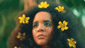 peermusic lido pimienta GIF