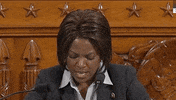 news impeachment impeachment inquiry val demings michael gerhardt GIF