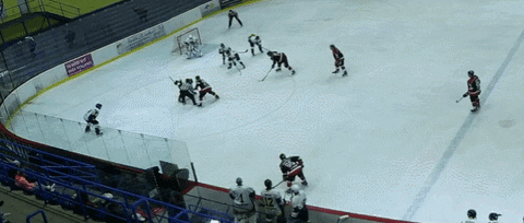 FanaTicks giphyupload GIF