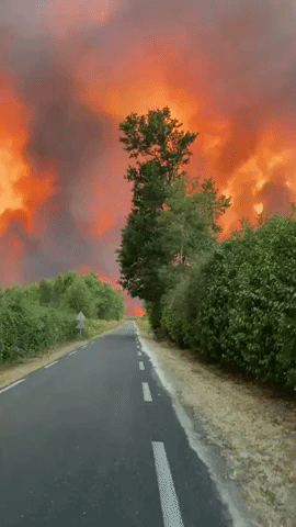 Wildfire in Southern France Prompts Thousands of Evacuations