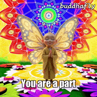 Flower Peace GIF by BuddhaFlyJourney