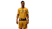 Eye Point Sticker by Bregenz Handball