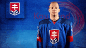 GIF by Slovak olympic commitee