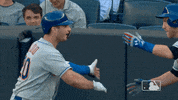 ny mets celebration GIF by New York Mets