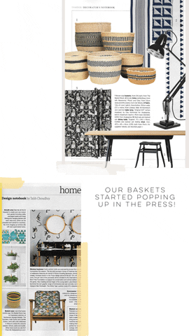 thebasketroom giphyupload GIF