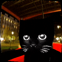 slujgiphy bro sluj bro gif slujart GIF