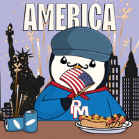 United States Usa GIF by Pudgy Penguins