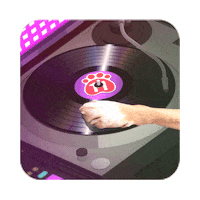 Dance Dog Sticker by n11com