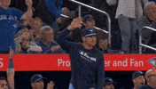 Blue Jays Celebration GIF by Toronto Blue Jays