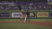 Baton Rouge Baseball GIF by LSU Tigers