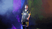 Meow Wolf Home Kit GIF by New Mexico United